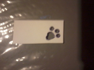 image of stencil of cat pawprint, which I used in the collage