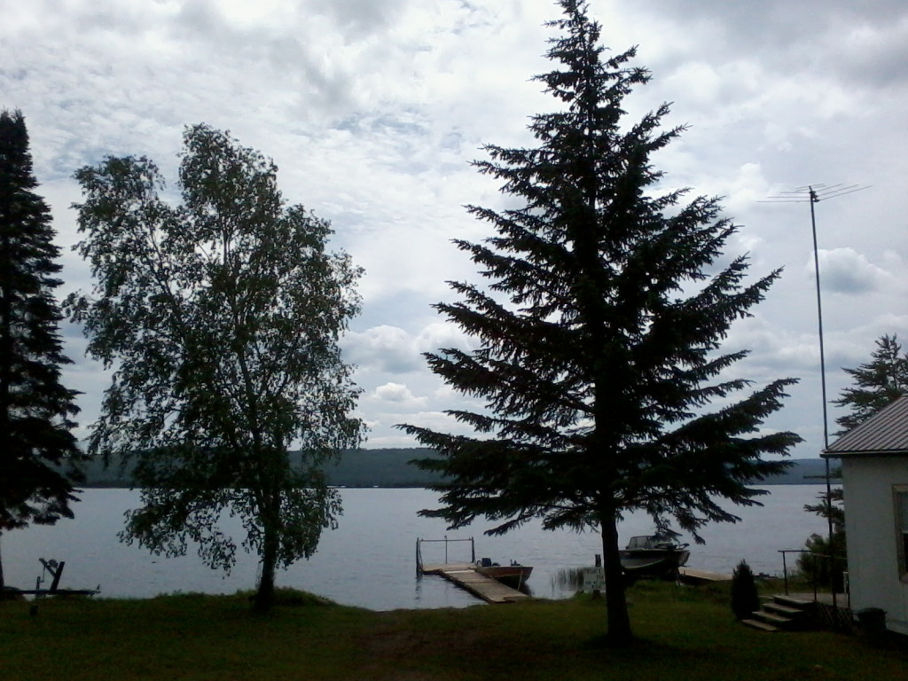 2 trees and dock with lake and nice sky 